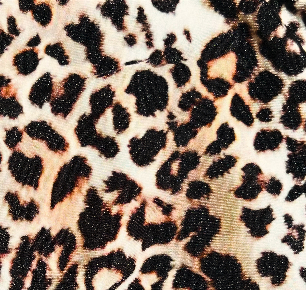 Leopard 🐆